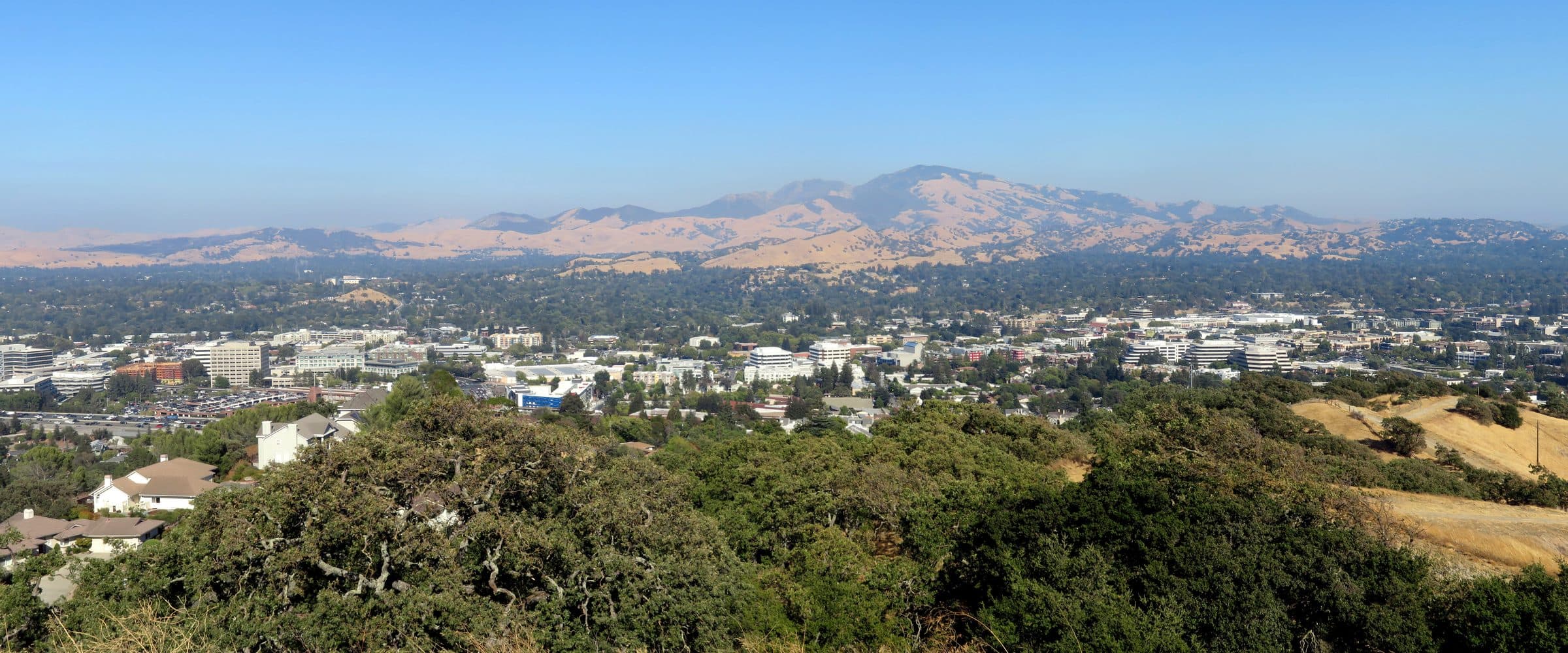 Downtown Walnut Creek seen from a hill, with Mount Diablo behind